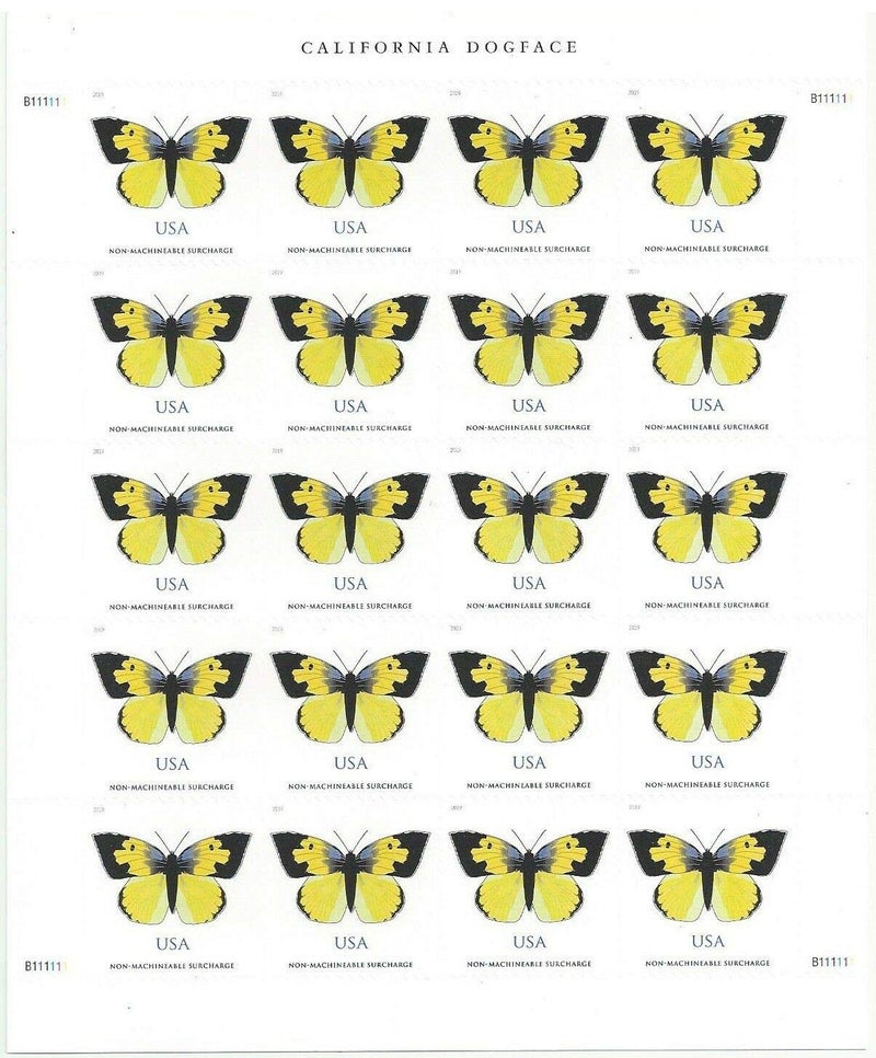 USPS California Dogface Butterfly (Sheet of 20) Non-Machineable for Square Envelopes Postage Stamps 2019 Scott #5346